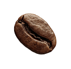 coffeebean